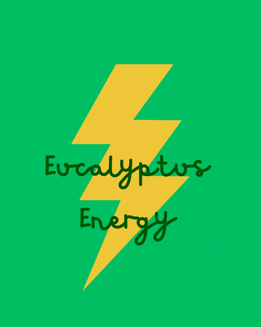 Eucalyptus Energy 🌿